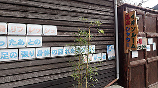 p1223658_thumb.jpg