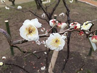 img_3738_thumb.jpg