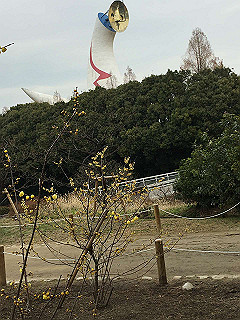img_3743_thumb.jpg