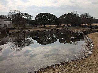 img_3783_thumb.jpg