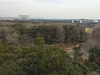 img_3800_thumb.jpg