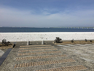 img_3828_thumb.jpg