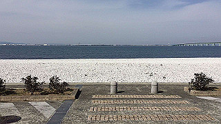 img_3829_thumb.jpg