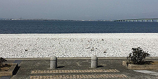 img_3831_thumb.jpg