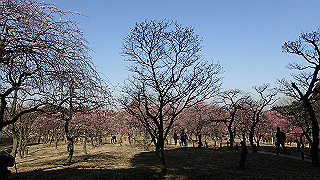 p2190186_thumb.jpg