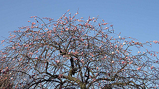 p2190187_thumb.jpg