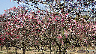 p2190188_thumb.jpg
