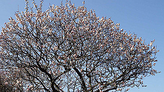 p2190189_thumb.jpg