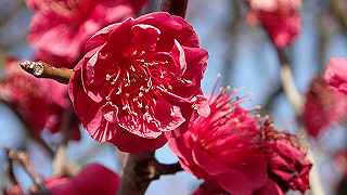 p2190191_thumb.jpg