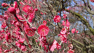p2190193_thumb.jpg