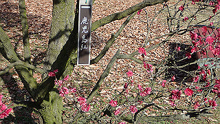 p2190194_thumb.jpg