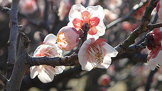 p2190197_thumb.jpg
