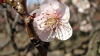 p2190202_thumb.jpg