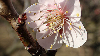 p2190204_thumb.jpg