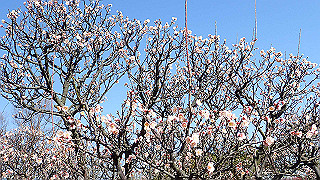 p2190207_thumb.jpg
