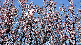 p2190208_thumb.jpg