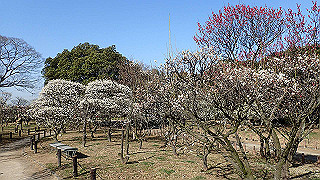 p2190209_thumb.jpg
