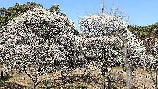 p2190210_thumb.jpg