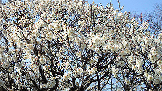 p2190211_thumb.jpg