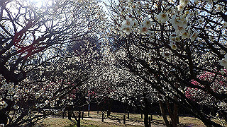 p2190212_thumb.jpg
