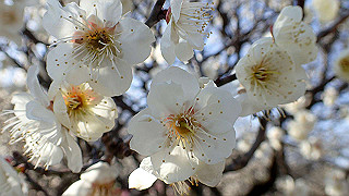 p2190213_thumb.jpg