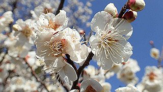 p2190214_thumb.jpg