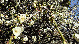 p2190215_thumb.jpg