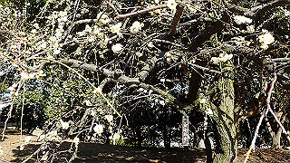 p2190217_thumb.jpg