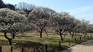 p2190219_thumb.jpg