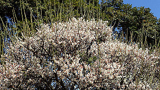 p2190220_thumb.jpg