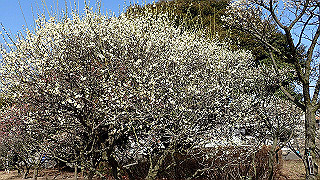 p2190221_thumb.jpg