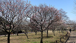 p2190222_thumb.jpg