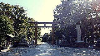 p2190223_thumb.jpg