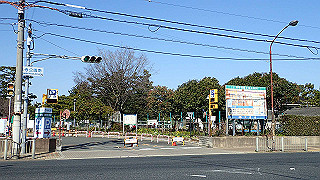 p2190226_thumb.jpg