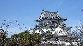 p2190271_thumb.jpg