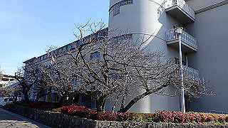 p2190275_thumb.jpg