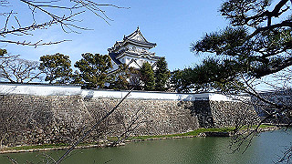p2190283_thumb.jpg