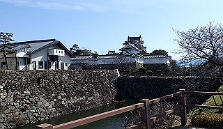 p2190292_thumb.jpg