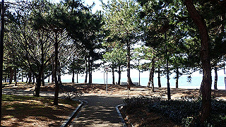 p2190310_thumb.jpg
