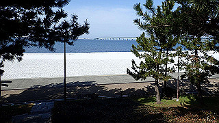 p2190311_thumb.jpg