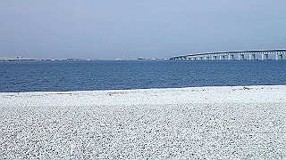 p2190313_thumb.jpg
