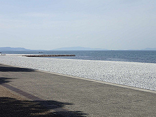 p2190316_thumb.jpg