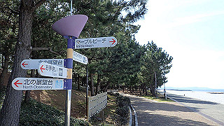 p2190325_thumb.jpg