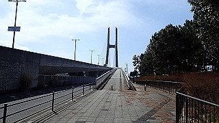 p2190326_thumb.jpg