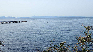p2190352_thumb.jpg