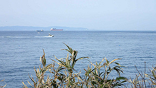 p2190353_thumb.jpg