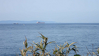 p2190354_thumb.jpg