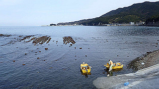 p2190362_thumb.jpg