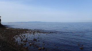 p2190363_thumb.jpg
