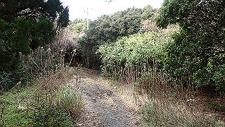 p2190369_thumb.jpg